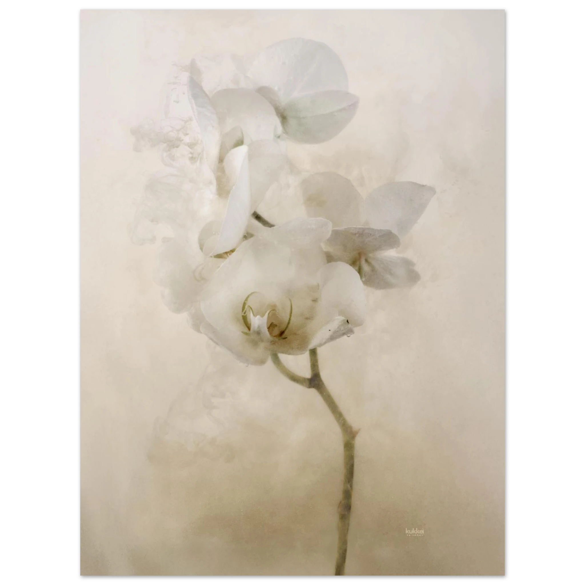 8f8884b1-06ef-4343-99c8-42ddf0867942