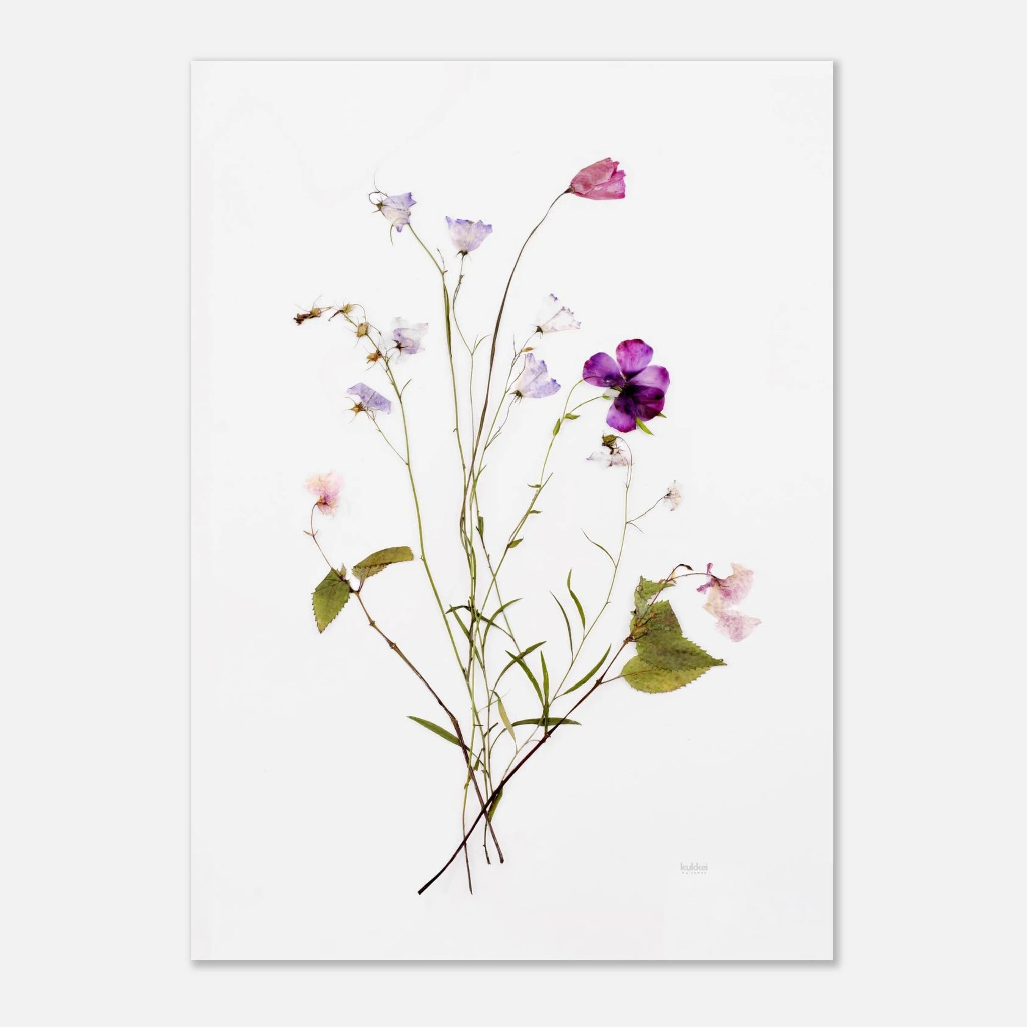 941cd405-ce05-4d7e-826e-a54041df2ed8