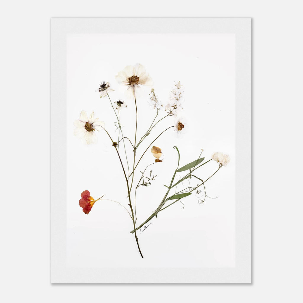 9baf63a6-4627-4acd-ae96-52d269b61135