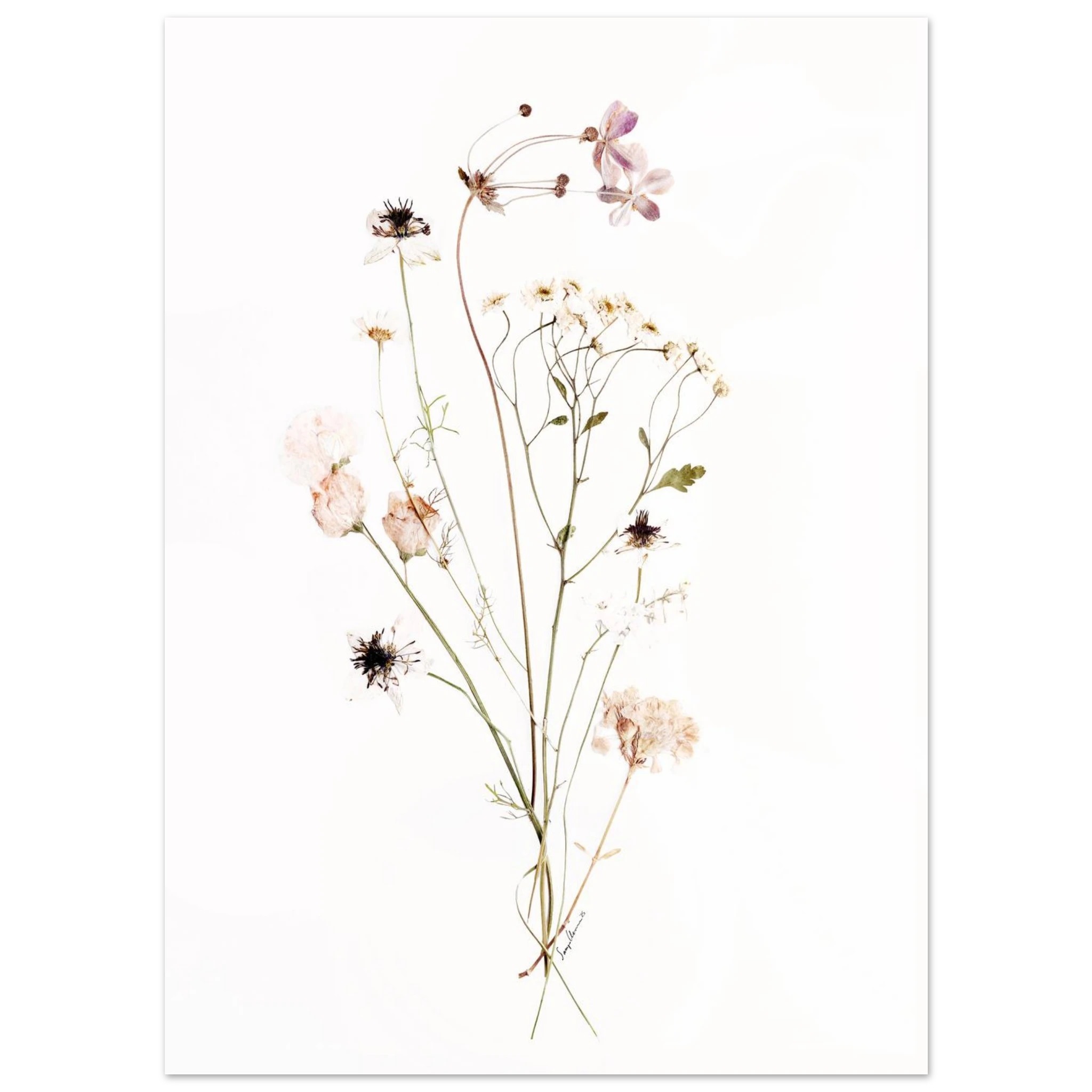 aaf5e7fd-bbe7-44df-8ee6-93dafec01863