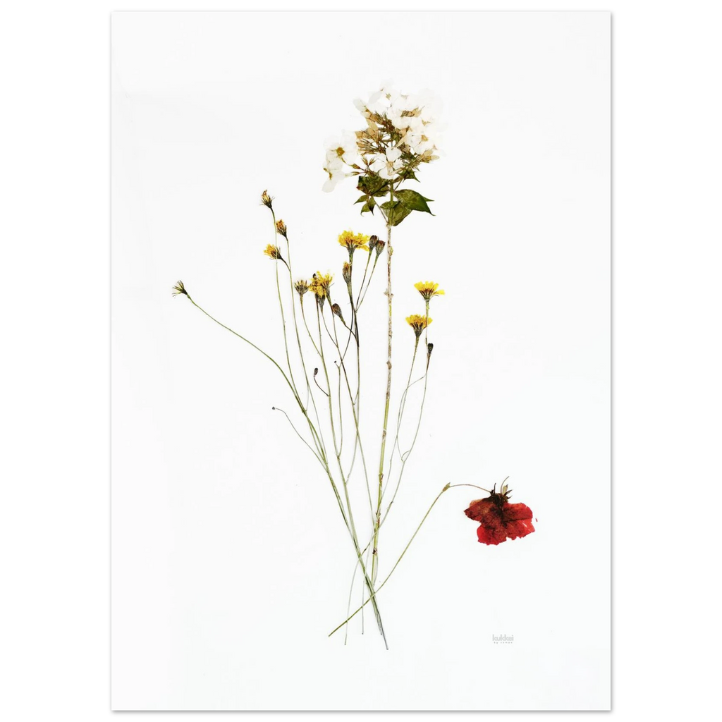 b4fb8b85-7377-43d1-987e-b152379d590f