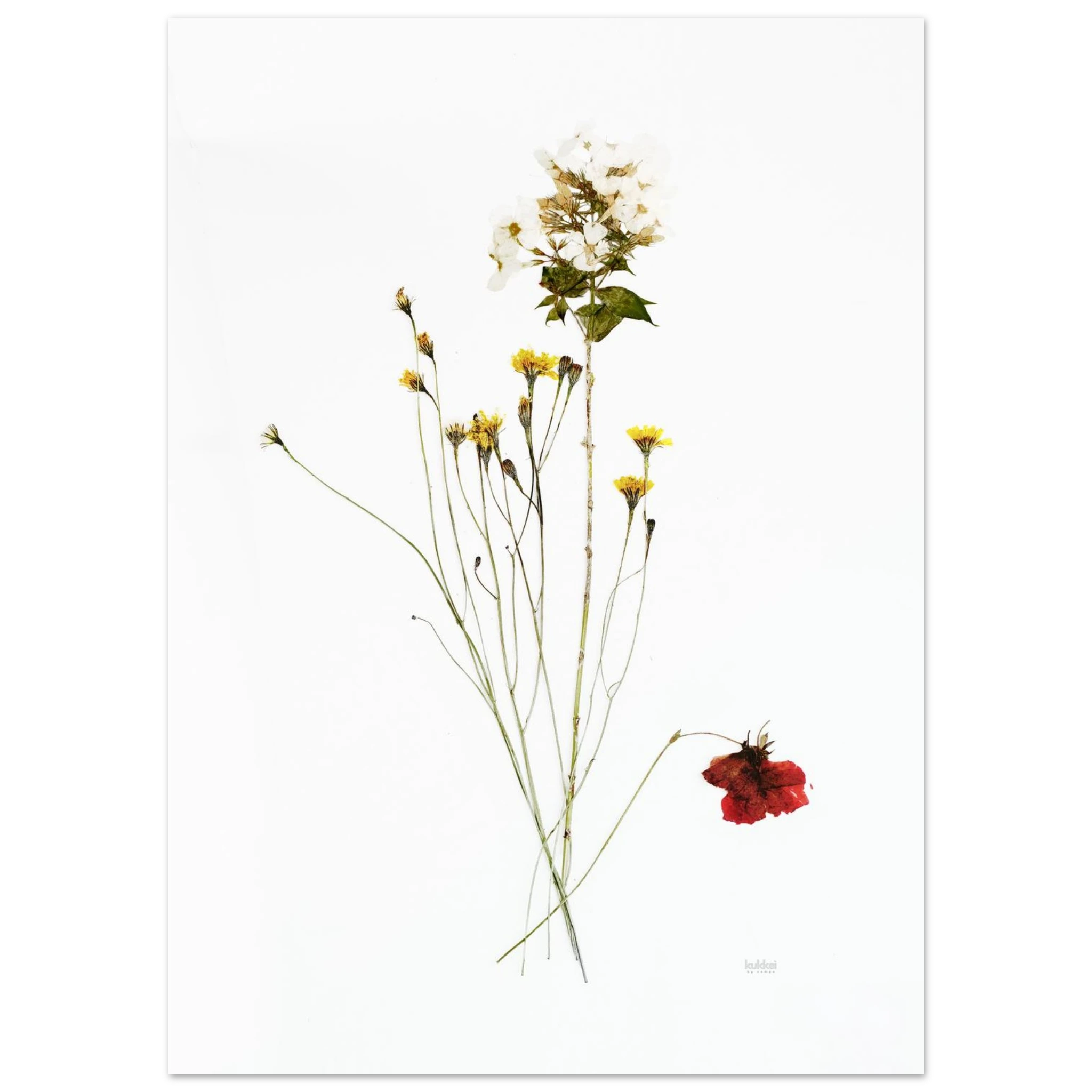 b4fb8b85-7377-43d1-987e-b152379d590f