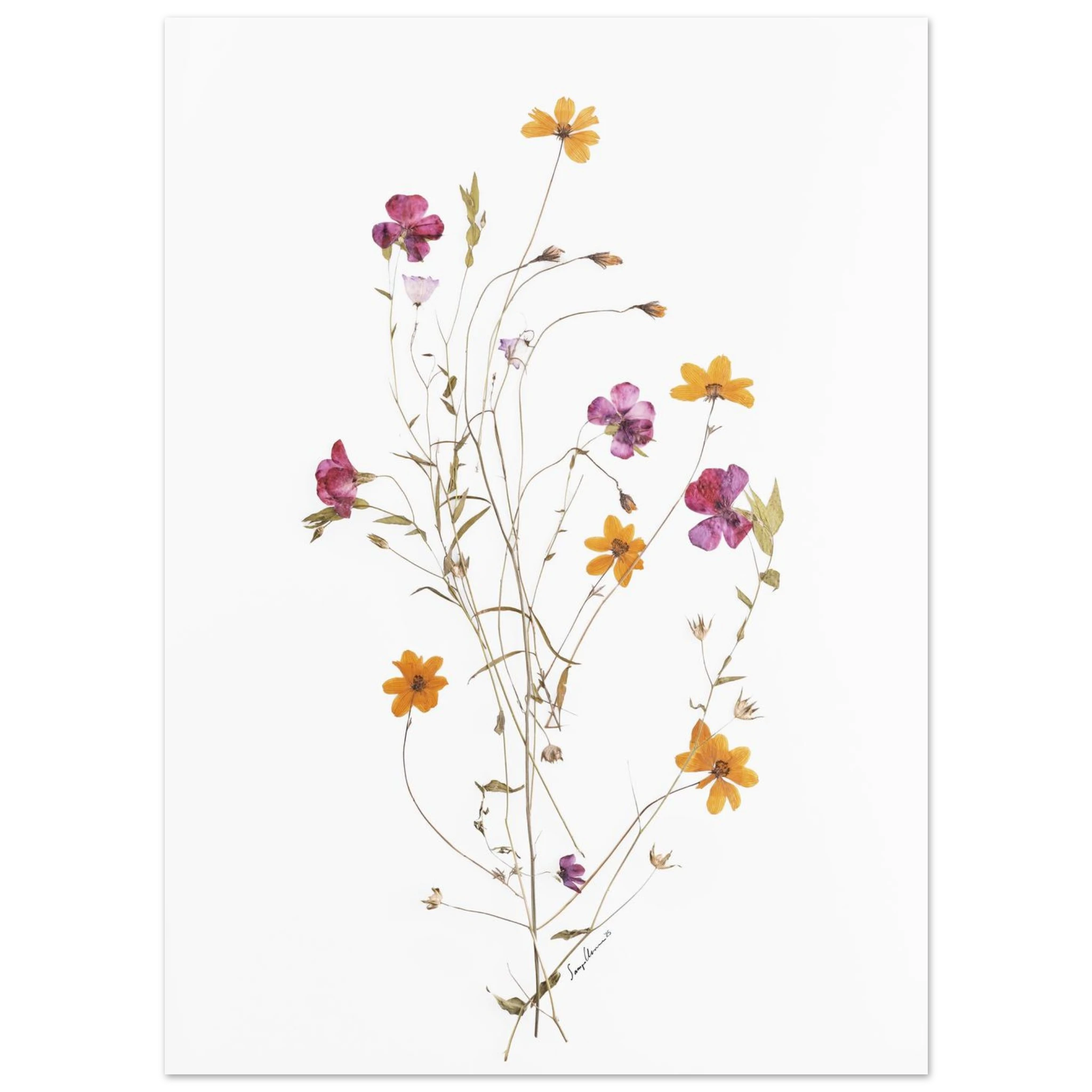 b5b7ac99-f2a6-4269-9cae-e41515bd7378