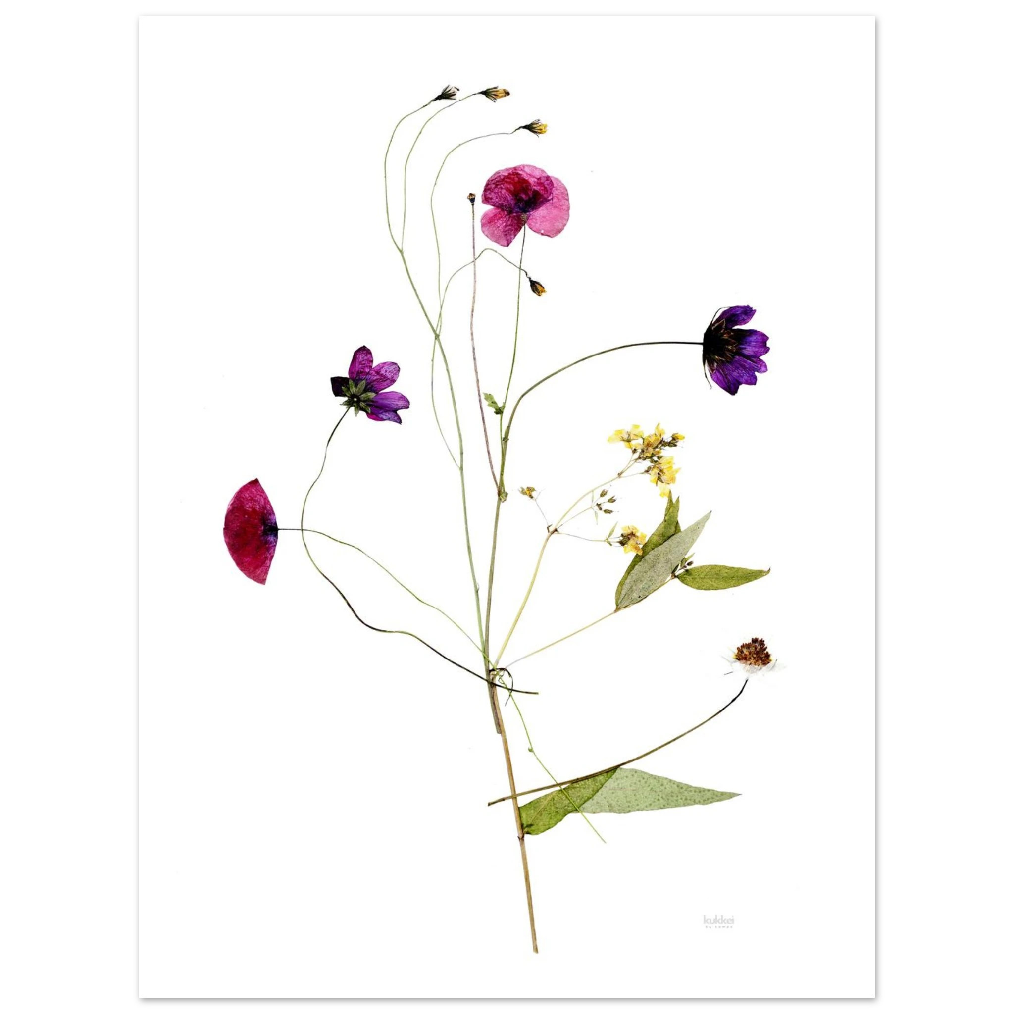 bc3fc07b-043b-4ea8-b228-d7bc7e78a3d0