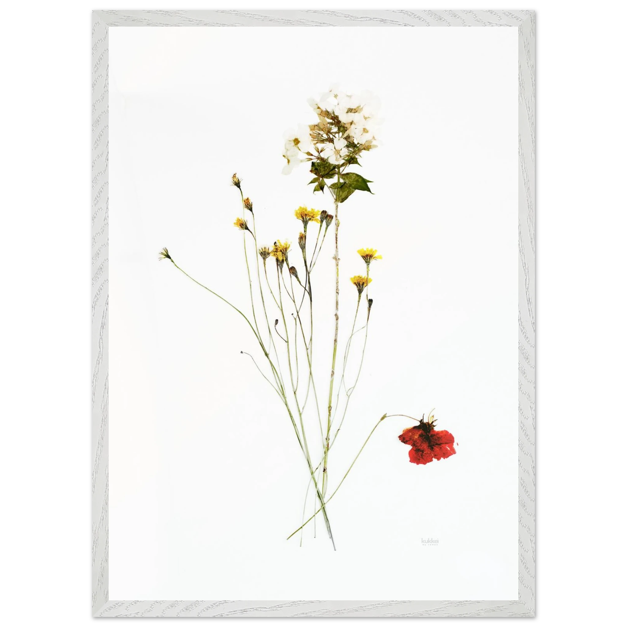 bfa42192-438f-46b3-8f7d-e40c4cf54e82