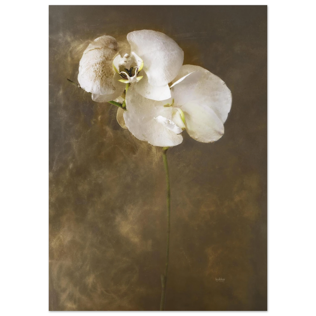 cb492a81-0c11-440d-94ba-485e65981796