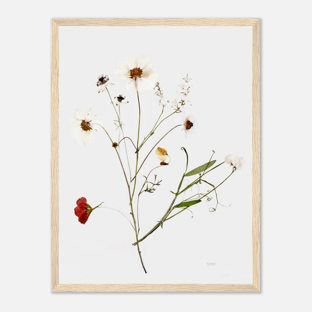 cde5ec3f-bdd2-4954-9d27-6e7d5cdf062a