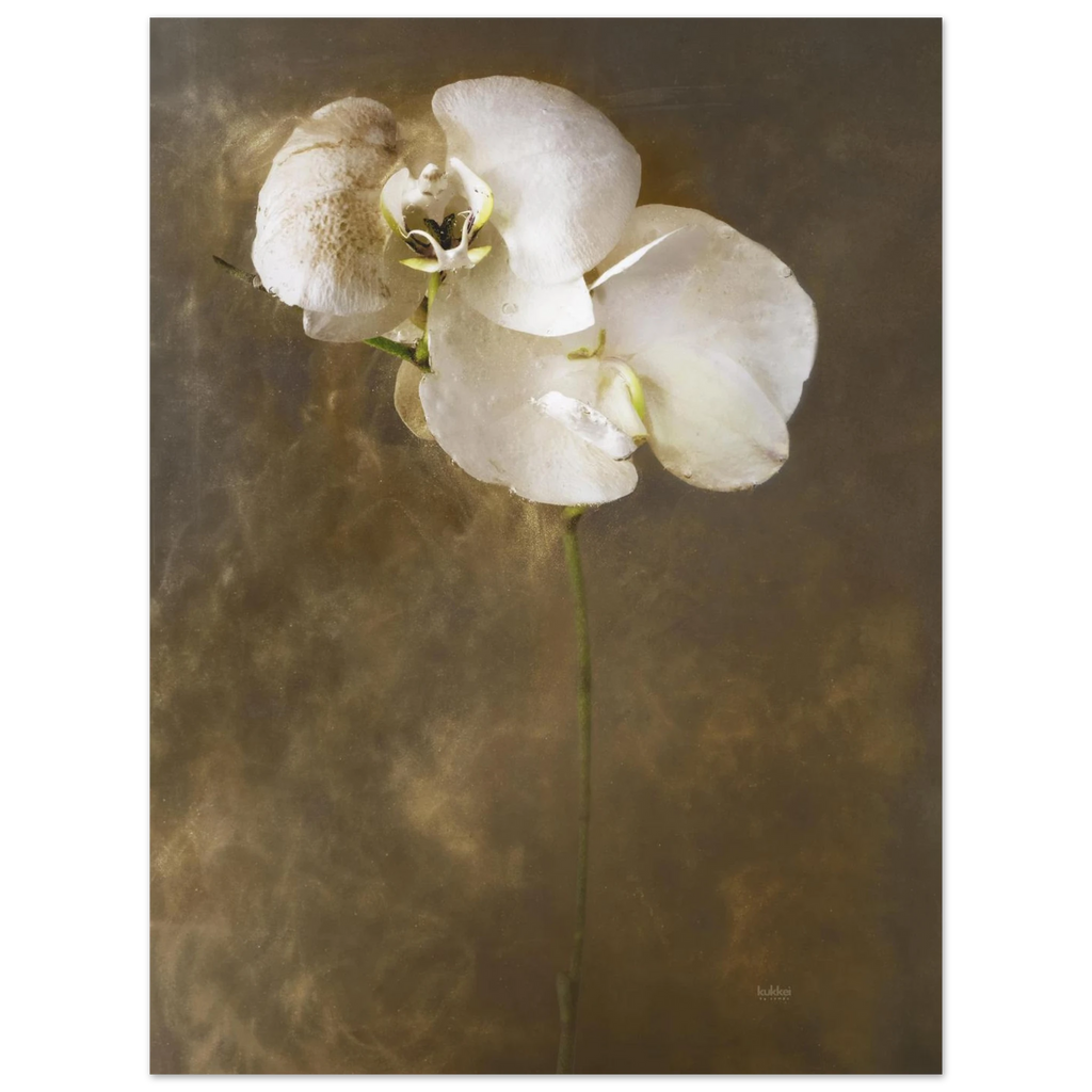 d62c20b6-1c8b-41a9-8338-7bf8af435210