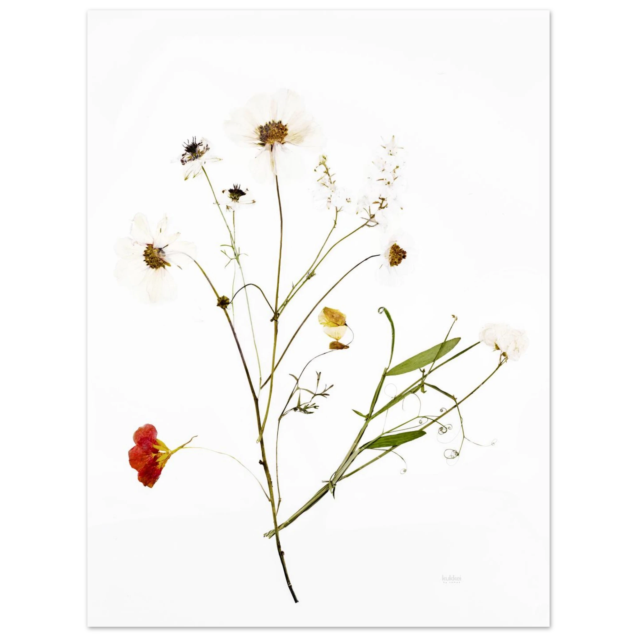 d6ffb830-a7ec-4093-bcc4-0df0b2a0dd95