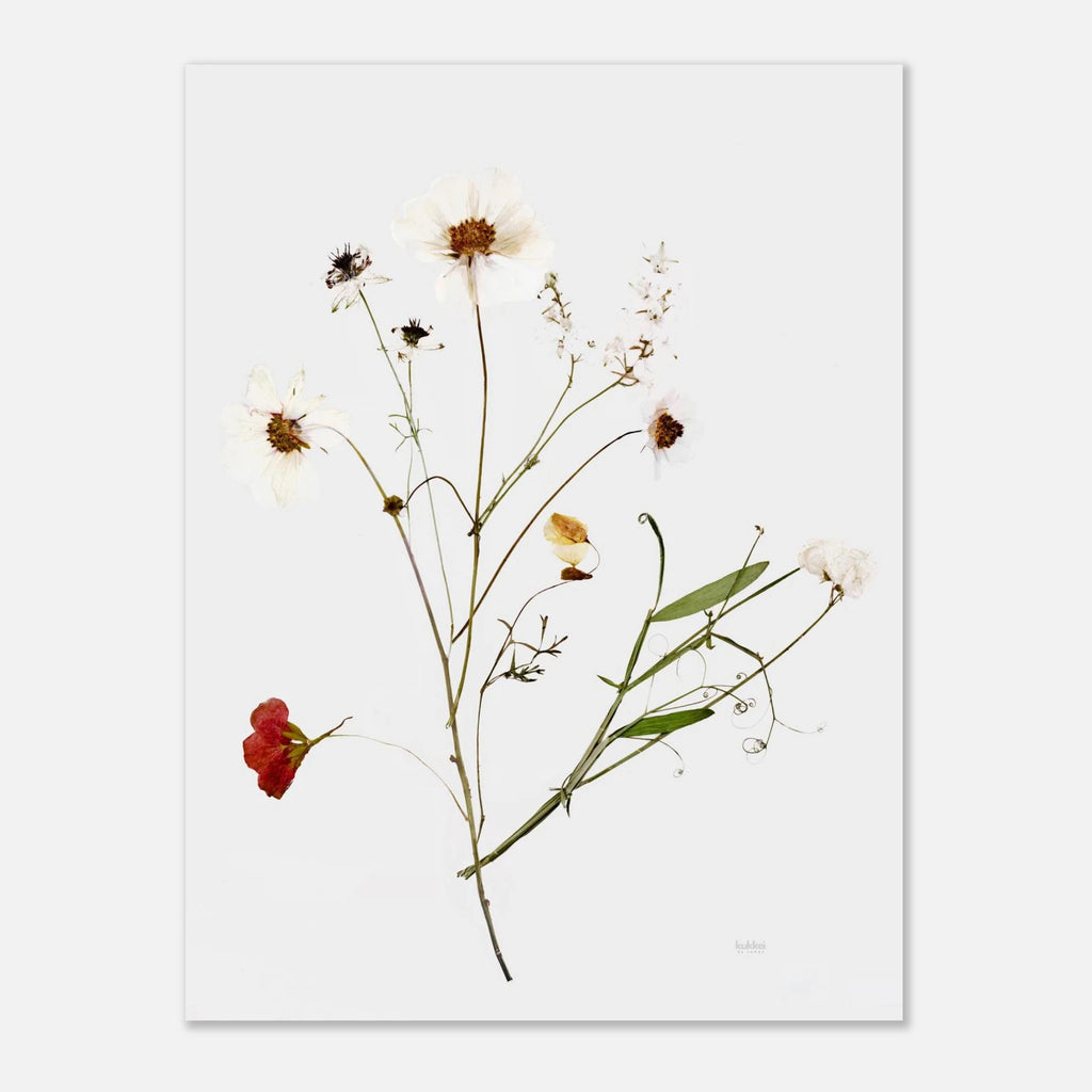 dd95aaea-d88c-4649-ac2a-a25a9d6cdee8