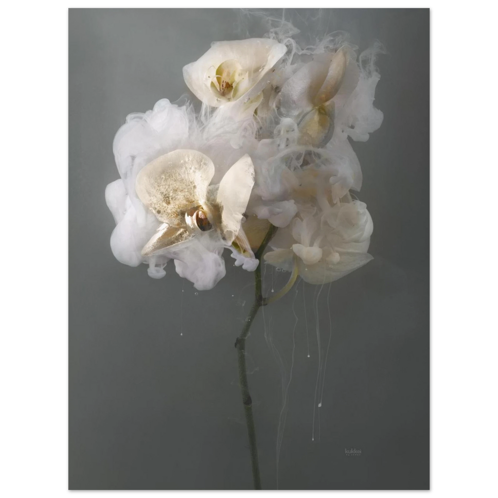 e2b842d1-3b44-47a7-b096-7161e7a21fe0