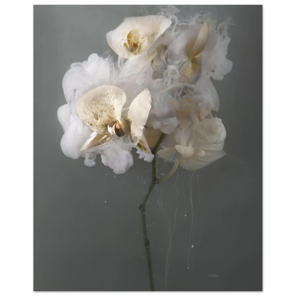 e6df96a3-a612-42ec-ad0f-4ac32953a3b2