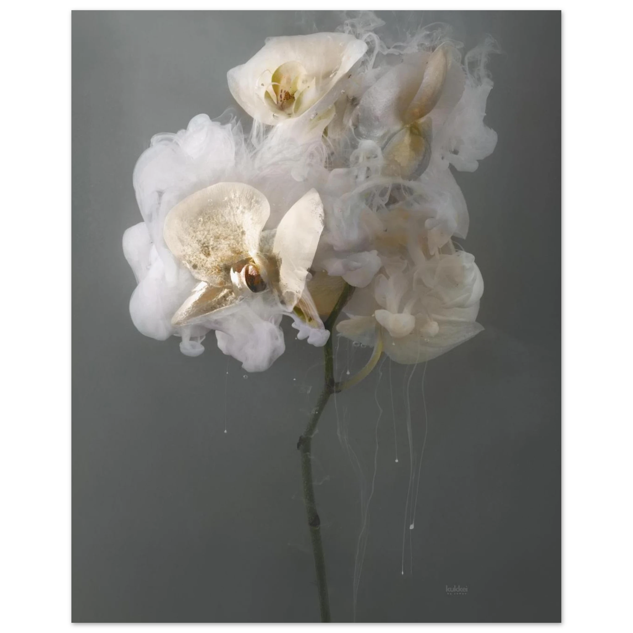 e6df96a3-a612-42ec-ad0f-4ac32953a3b2