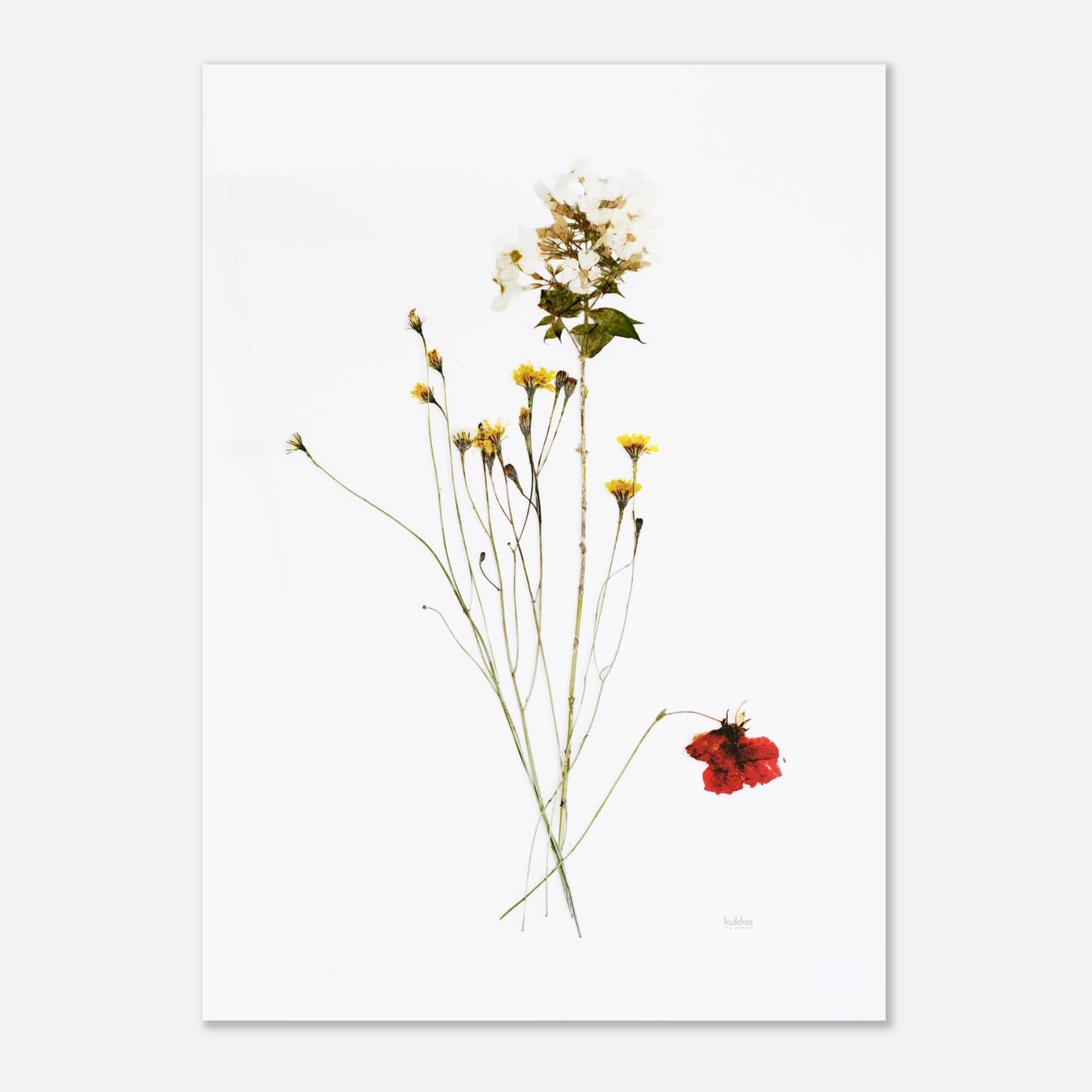 e8ebb116-8cbd-4aaa-ad27-34db7087ef0d