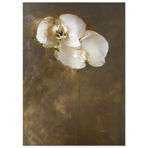 f6994730-7163-4c68-8e0f-1572ea0f5045