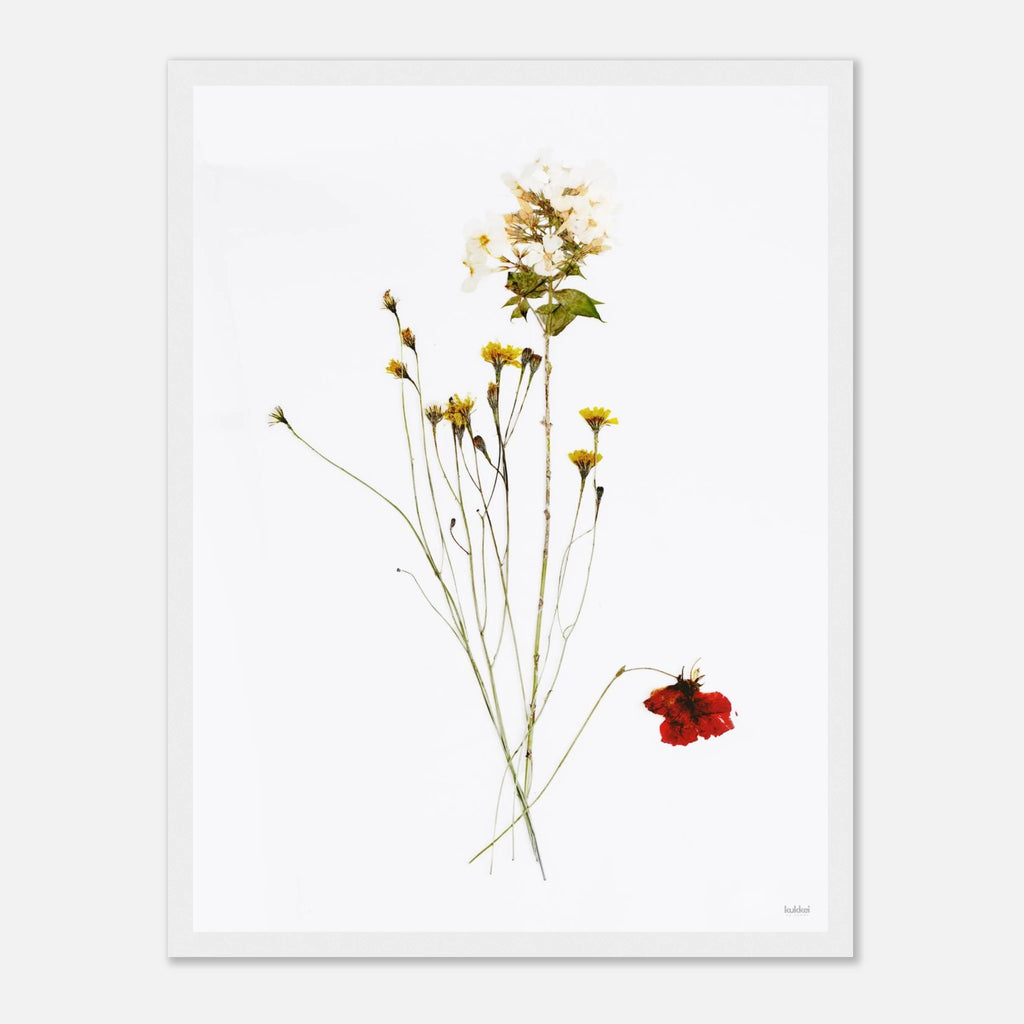 f8dba4ff-20d4-43b8-910e-6e2d152d0aad