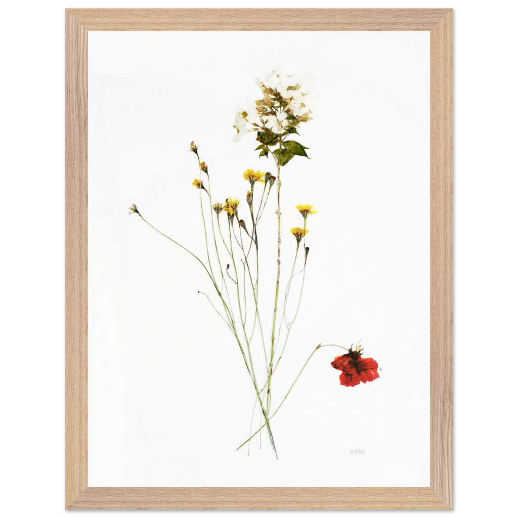 fa014d3c-fc91-4c47-b722-bb28e26a2c76