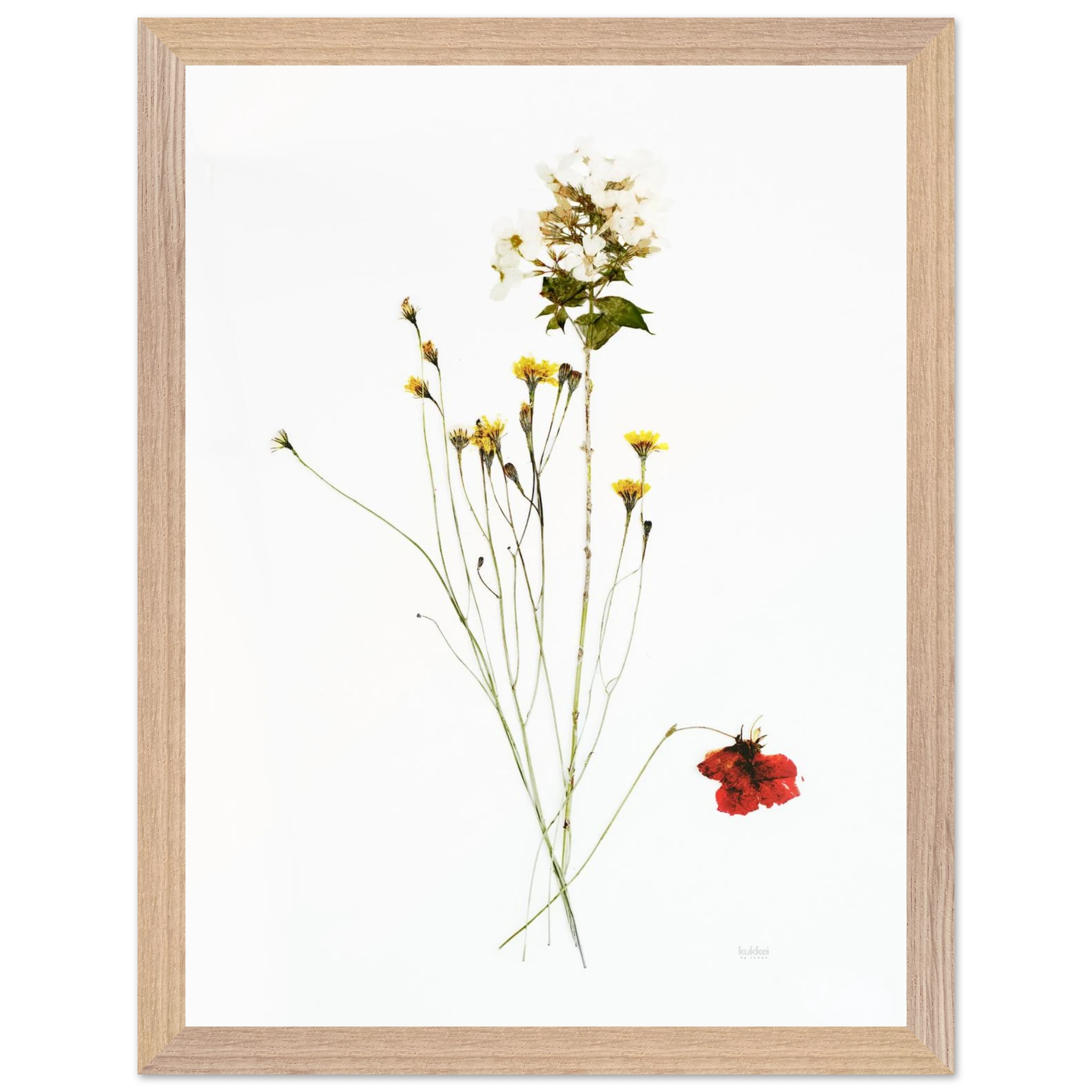 fa014d3c-fc91-4c47-b722-bb28e26a2c76